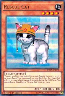 Rescue Cat [DUSA-EN072] Ultra Rare