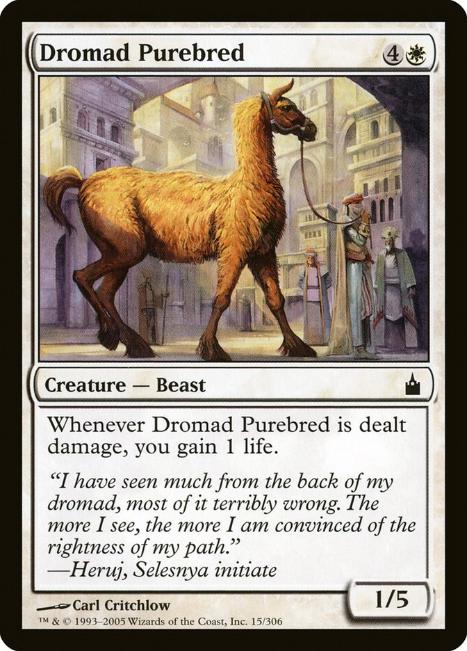 Dromad Purebred [Ravnica: City of Guilds]